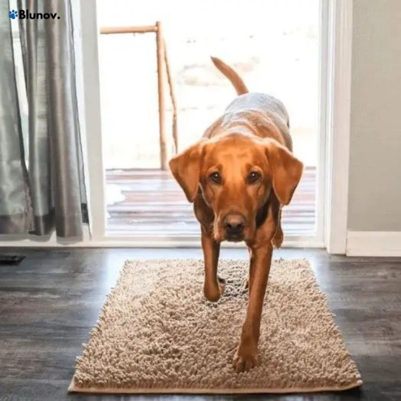 PawSoft™ – Tapis de Sol Ultra-Doux