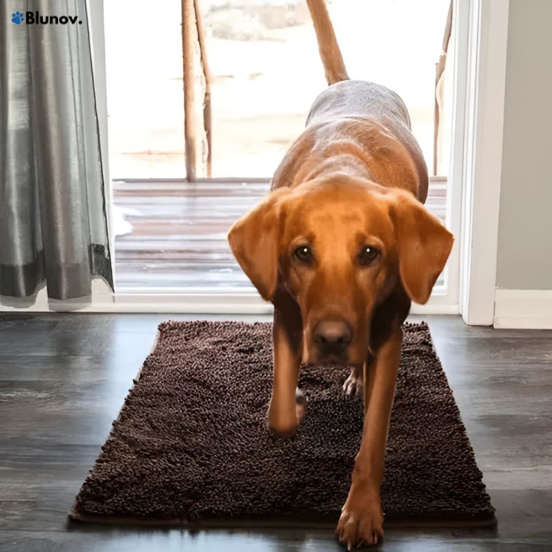 PawSoft™ – Tapis de Sol Ultra-Doux
