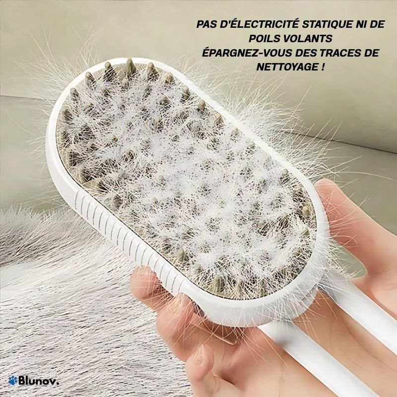 Steamly™ - Brosse à vapeur