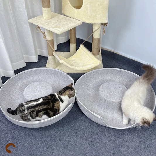 CatNest™ : Tunnel & Nid
